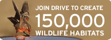 Join our nationwide drive to create 150,000 certified wildlife habitats